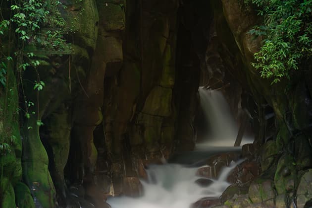 Located amidst the verdant landscapes of Rincón de la Vieja, the Cathedral Waterfall Expedition reveals a narrow canyon with moss-covered rock walls and a gently flowing small waterfall at its heart. The lush foliage envelops this scene in tranquility, offering a serene retreat in nature's sanctuary.