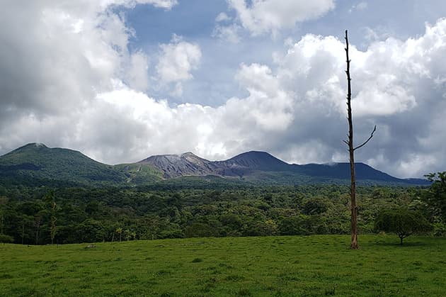A lush green landscape with a lone tree in the foreground and the majestic mountains of Rincón de la Vieja under a cloudy sky in the background.