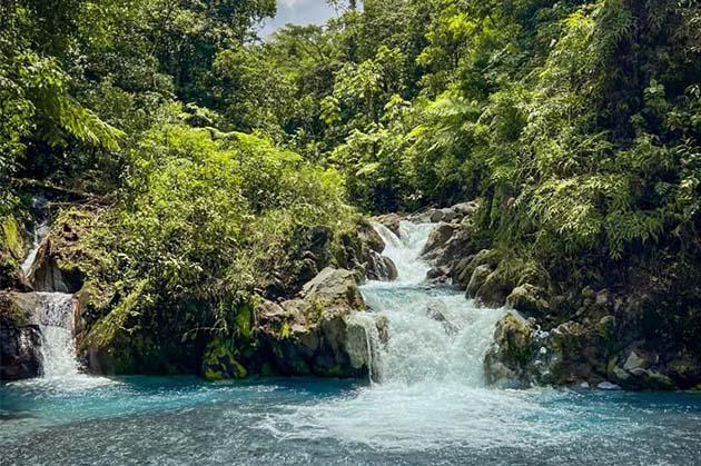 Nestled within the vibrant landscapes of Rincon de la Vieja, a small waterfall cascades over rocks into a clear blue pool, surrounded by lush green vegetation.