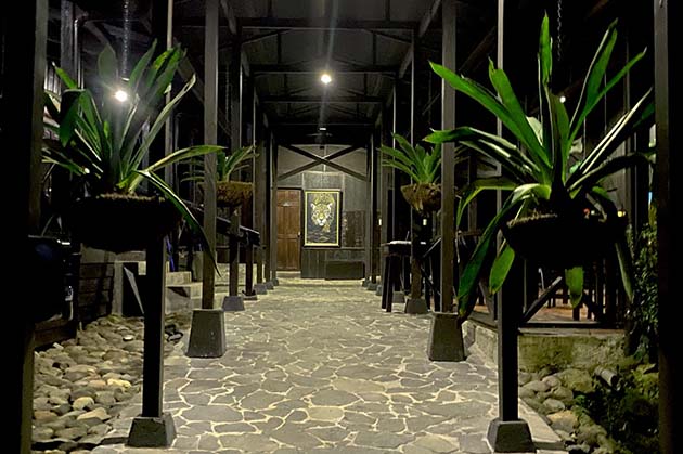 A dimly lit corridor in the style of Rincon de la Vieja, with hanging plants on metal beams and stone flooring, leads to a framed artwork on a wooden wall.