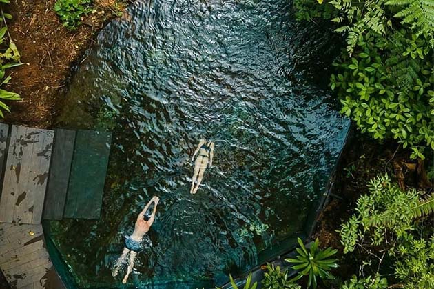 Two people swim in a natural, rectangular pool surrounded by lush greenery, capturing the serene beauty reminiscent of Rincon de la Vieja.